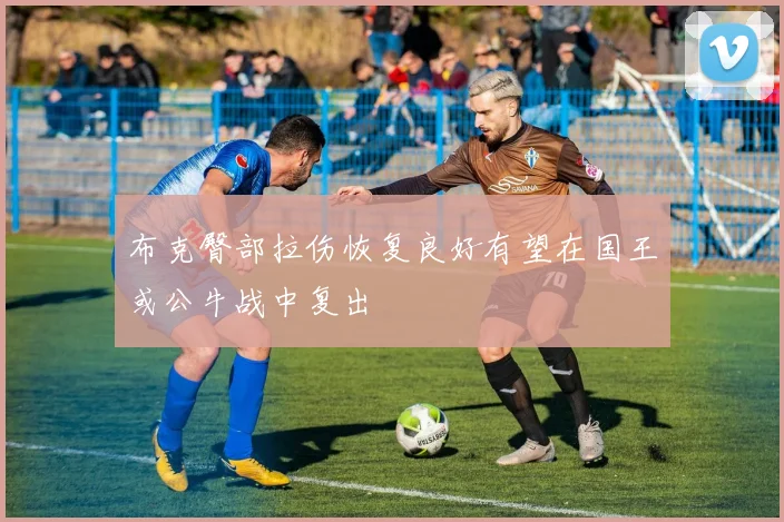 布克臀部拉伤恢复良好有望在国王或公牛战中复出