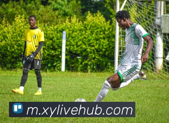 杏悦娱乐发展历程