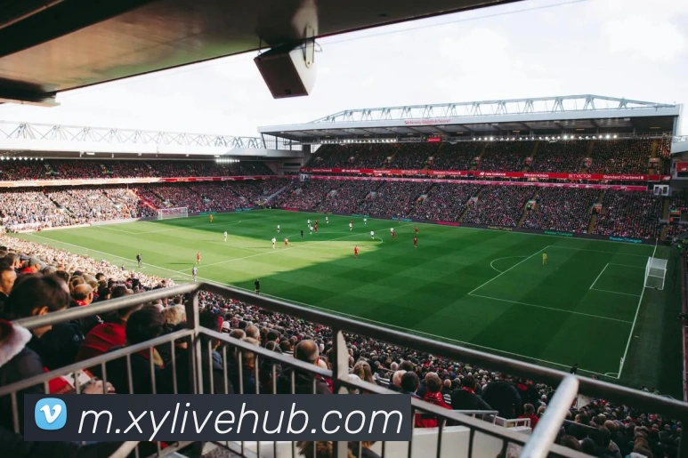 RB莱比锡即将以500万到700万欧元签下苏莱曼萨尼的转会消息